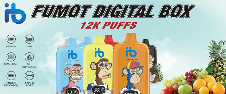 Tipps für die Mitnahme Ihrer E Zigarette im Handgep?ck